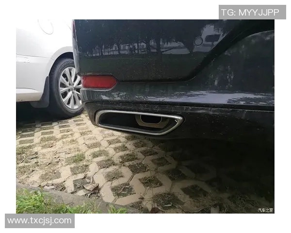 武汉网球队逆袭之路揭秘世界杯预选赛背后的奋斗与荣耀